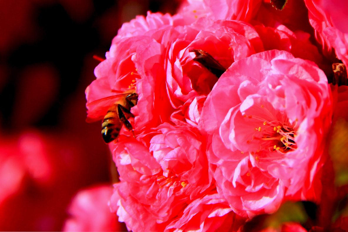 �߳ǻ��һ��  (2).jpg