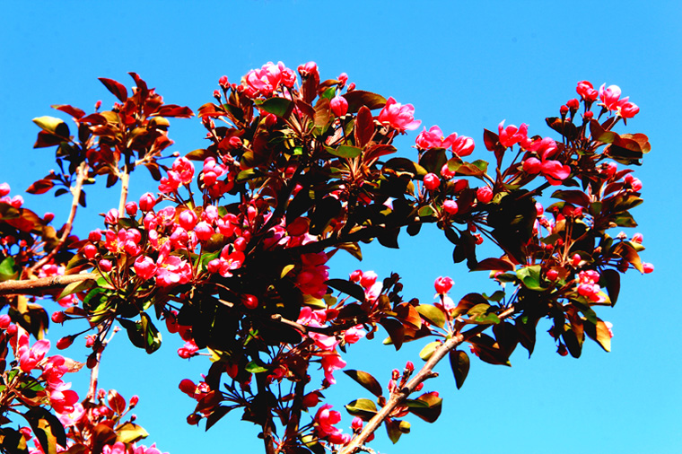 �߳ǻ��һ��  (3).jpg