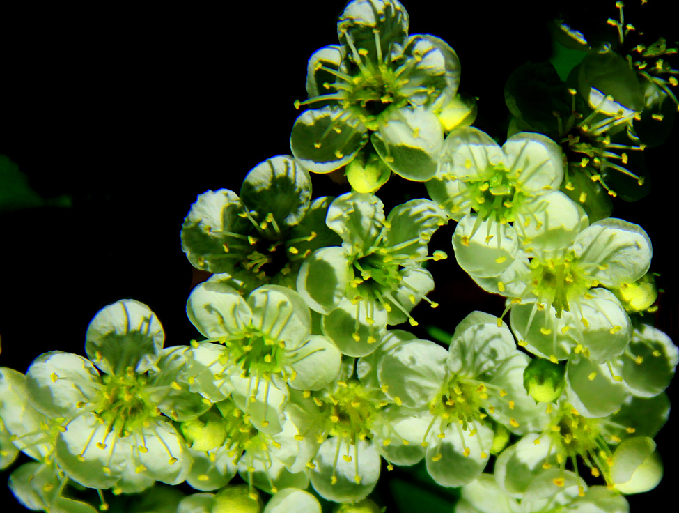 �߳ǻ��һ��  (4).jpg