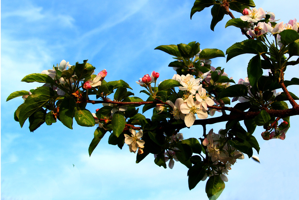 �߳ǻ��һ��  (5).jpg