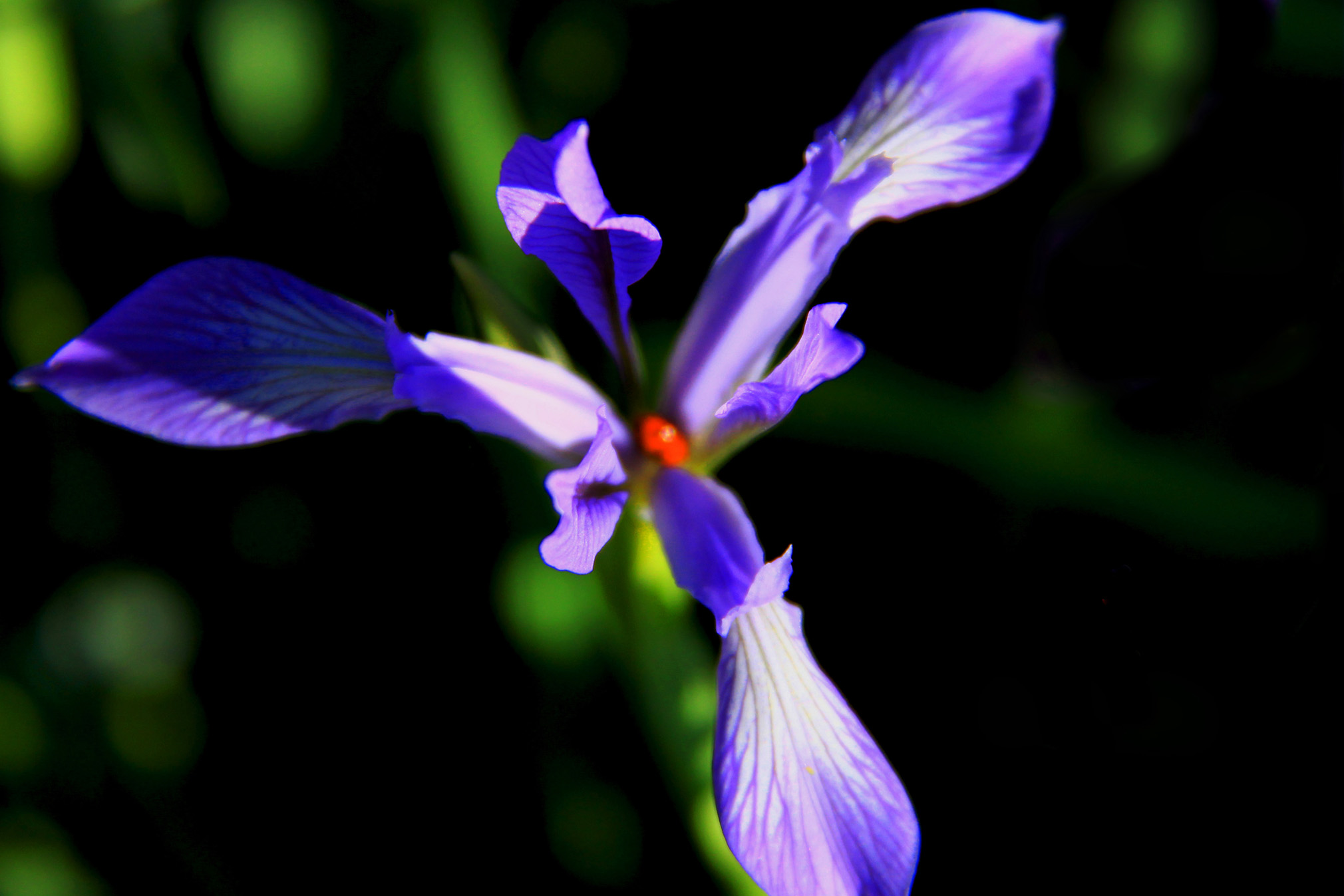 �߳ǻ��һ��  (6).jpg