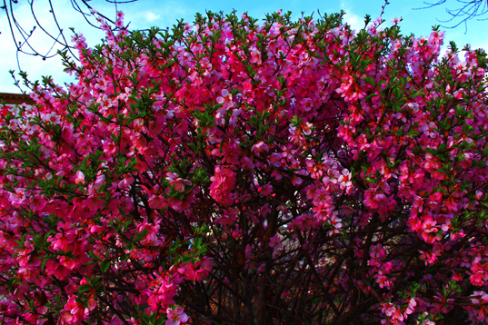 �߳ǻ��һ��  (7).jpg