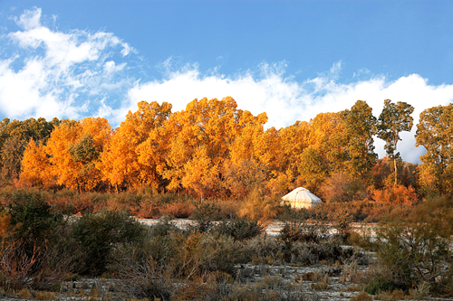 ���������� (3).jpg