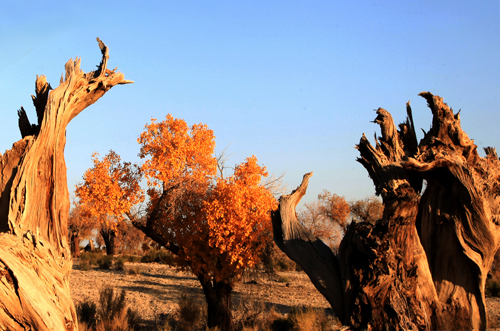 ����� (17).jpg