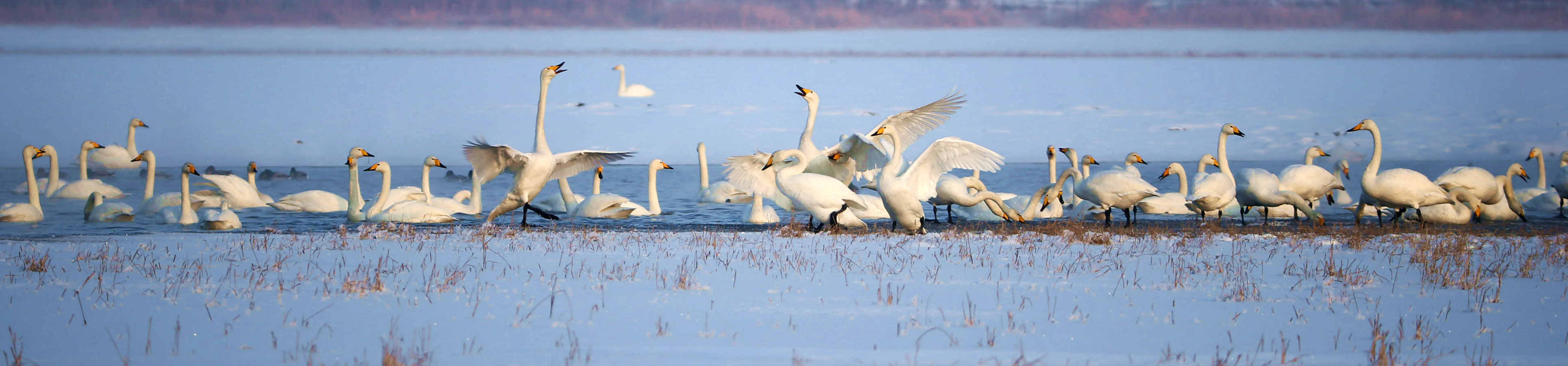 CW2Z8793_���� �ٶ�ͼ_����.jpg