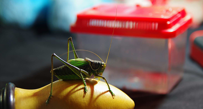 ������С IMGP1081.JPG