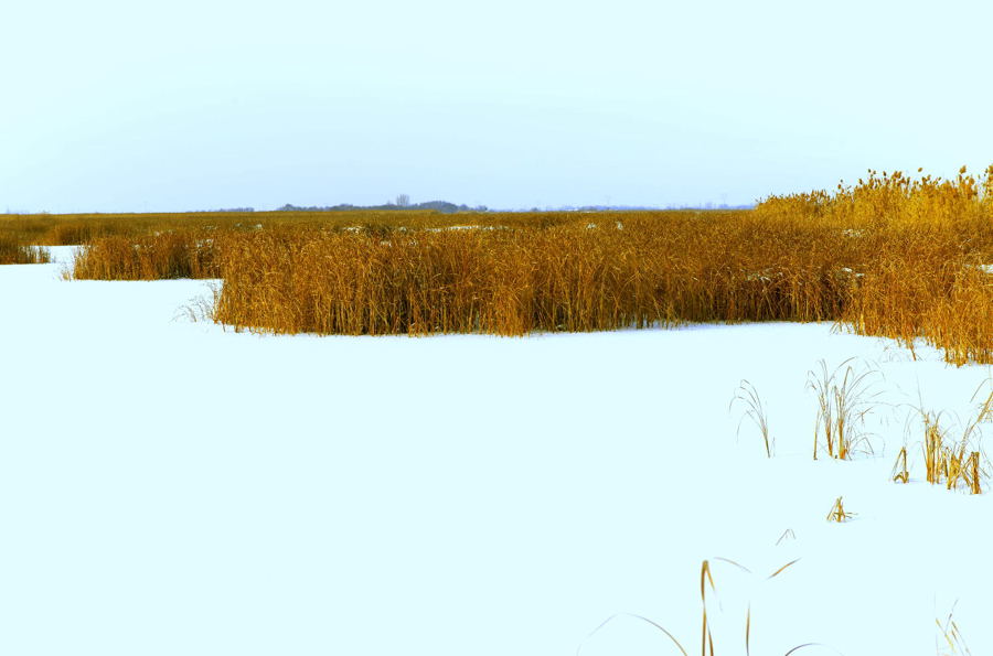 ʪ�ص�����