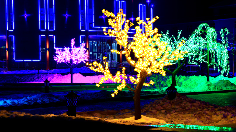 ����ҹ�� (2).jpg