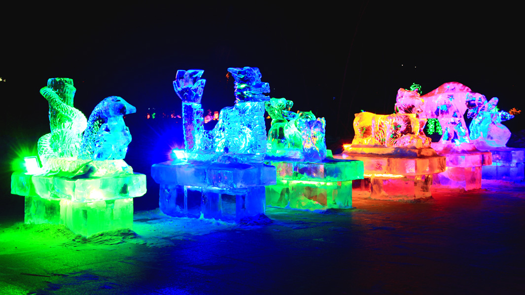 ����ҹ�� (5).jpg