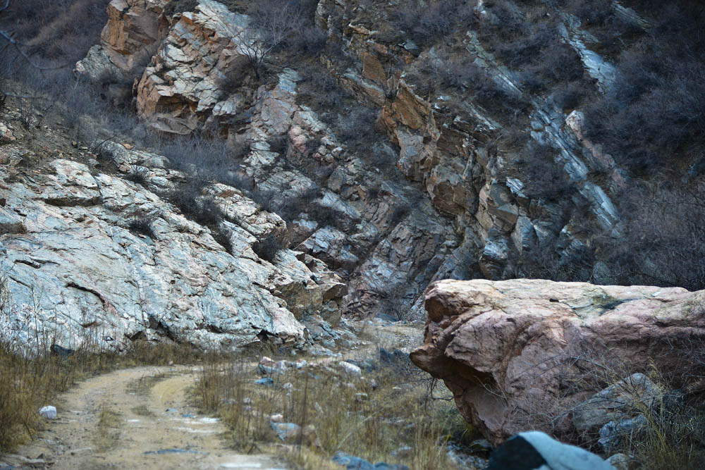 ·�ߵ�ʯͷ����һͷС��վ������