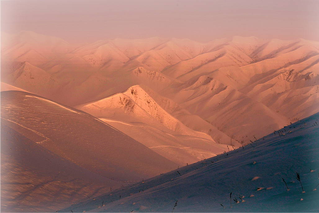 �ཿ   ������