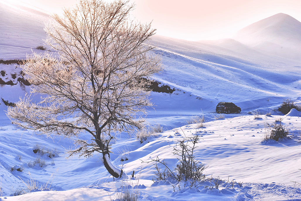 һ����     ������