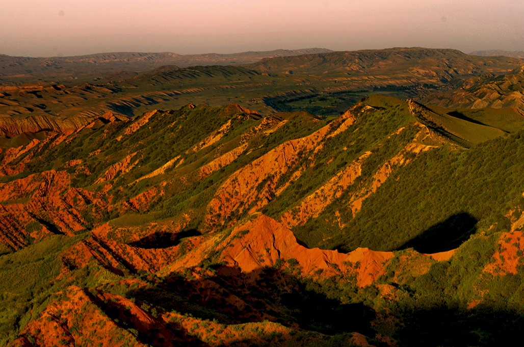 ���    ������