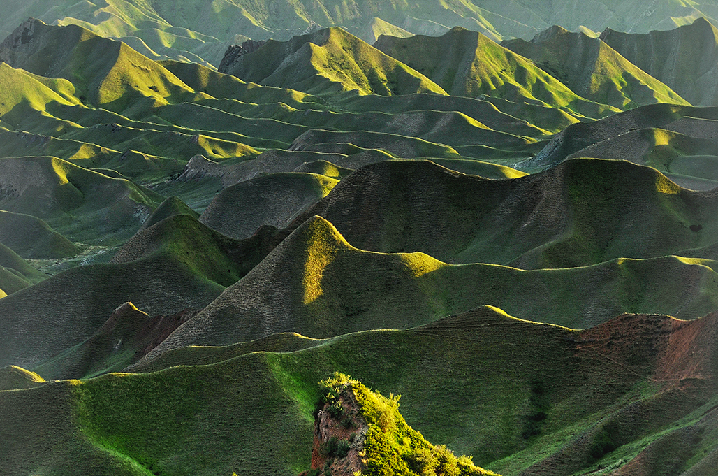 ��������    ������