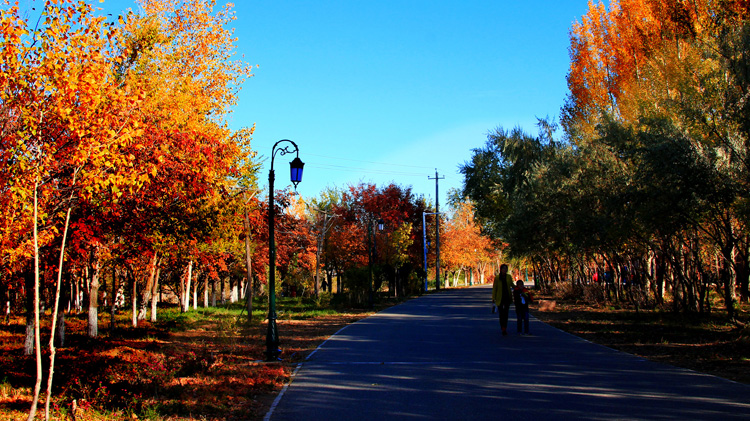 ̤����� (5).jpg