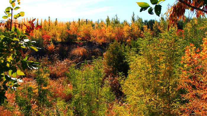 ̤����� (6).jpg