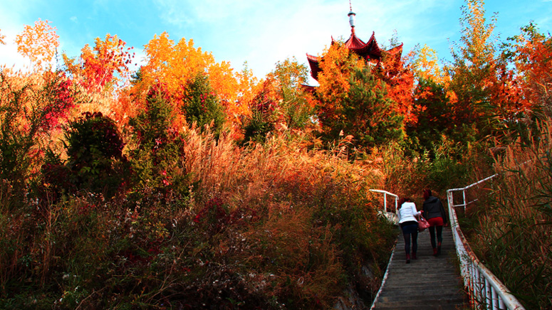 ̤����� (7).jpg