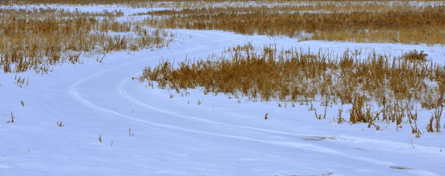 ʪ�������ֻص����