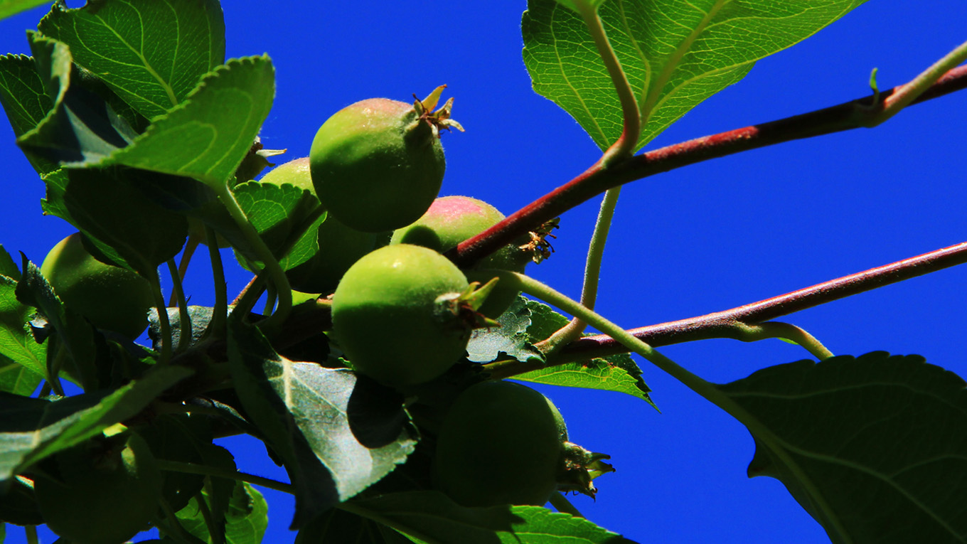 �߳ǻ������ (1)-���Ĺ�.jpg