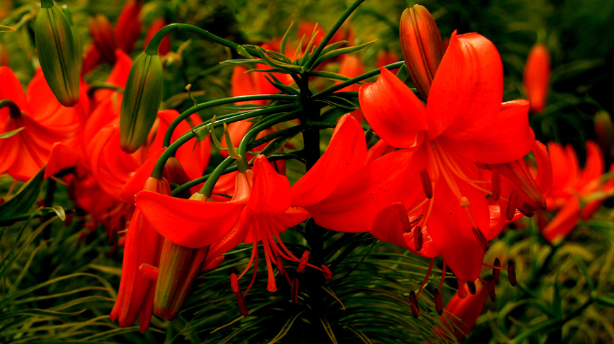 �߳ǻ������ (2)-�ٺ�.jpg