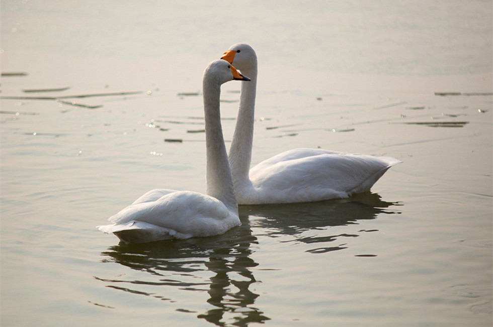 2013��� (78)_����.jpg