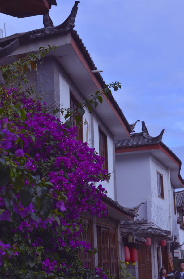 �����Ļ�����