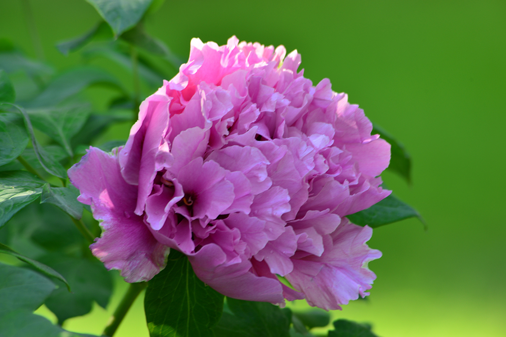 ����     ������