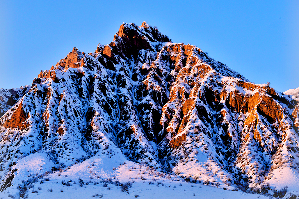 ѩ�к�     ������