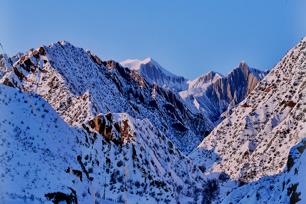 �����    ������