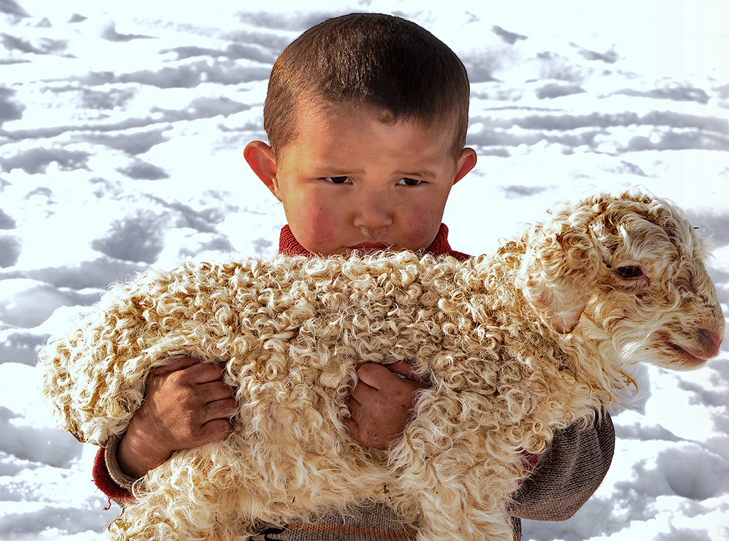 ����    ������