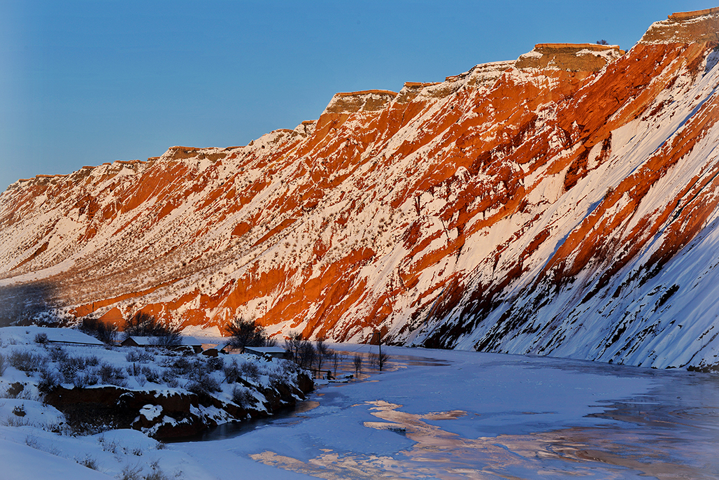 ��Ⱦ     ������