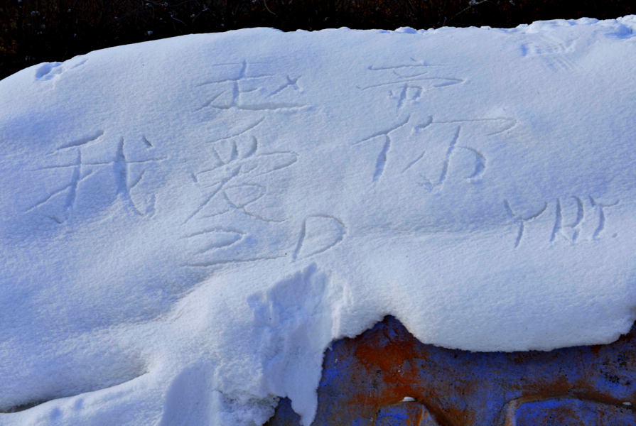 ѩ������