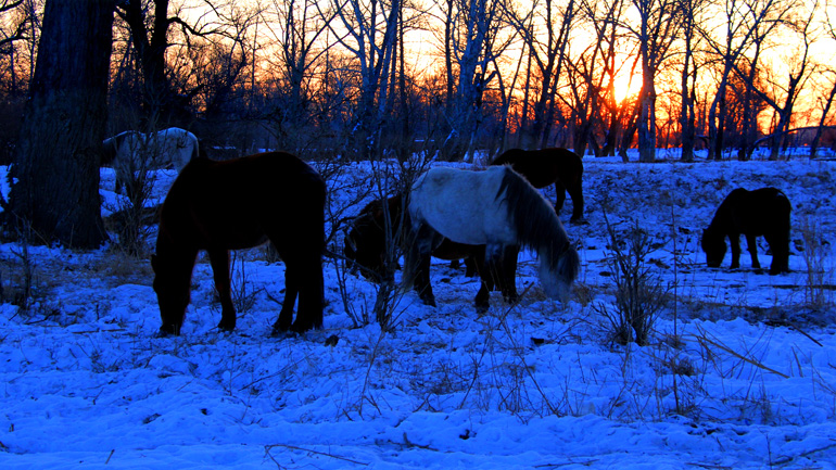 ���ճ��� (3).jpg