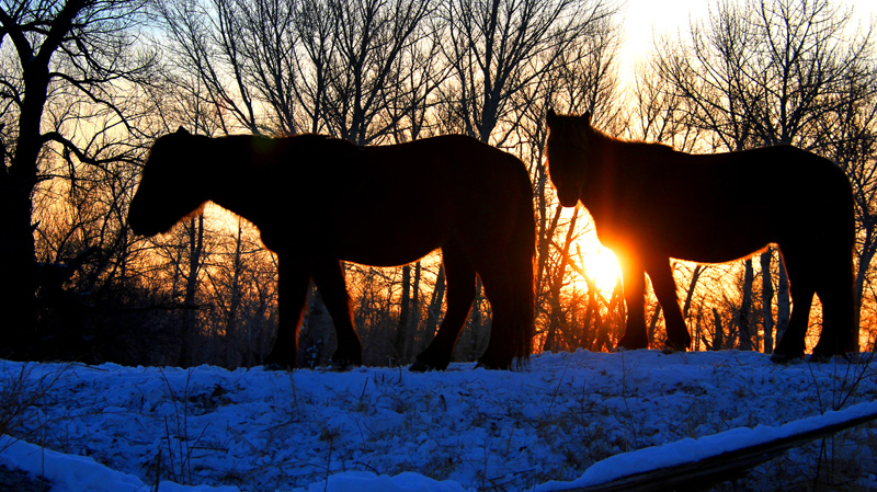 ���ճ��� (4).jpg