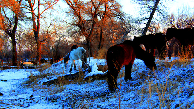 ���ճ��� (5).jpg