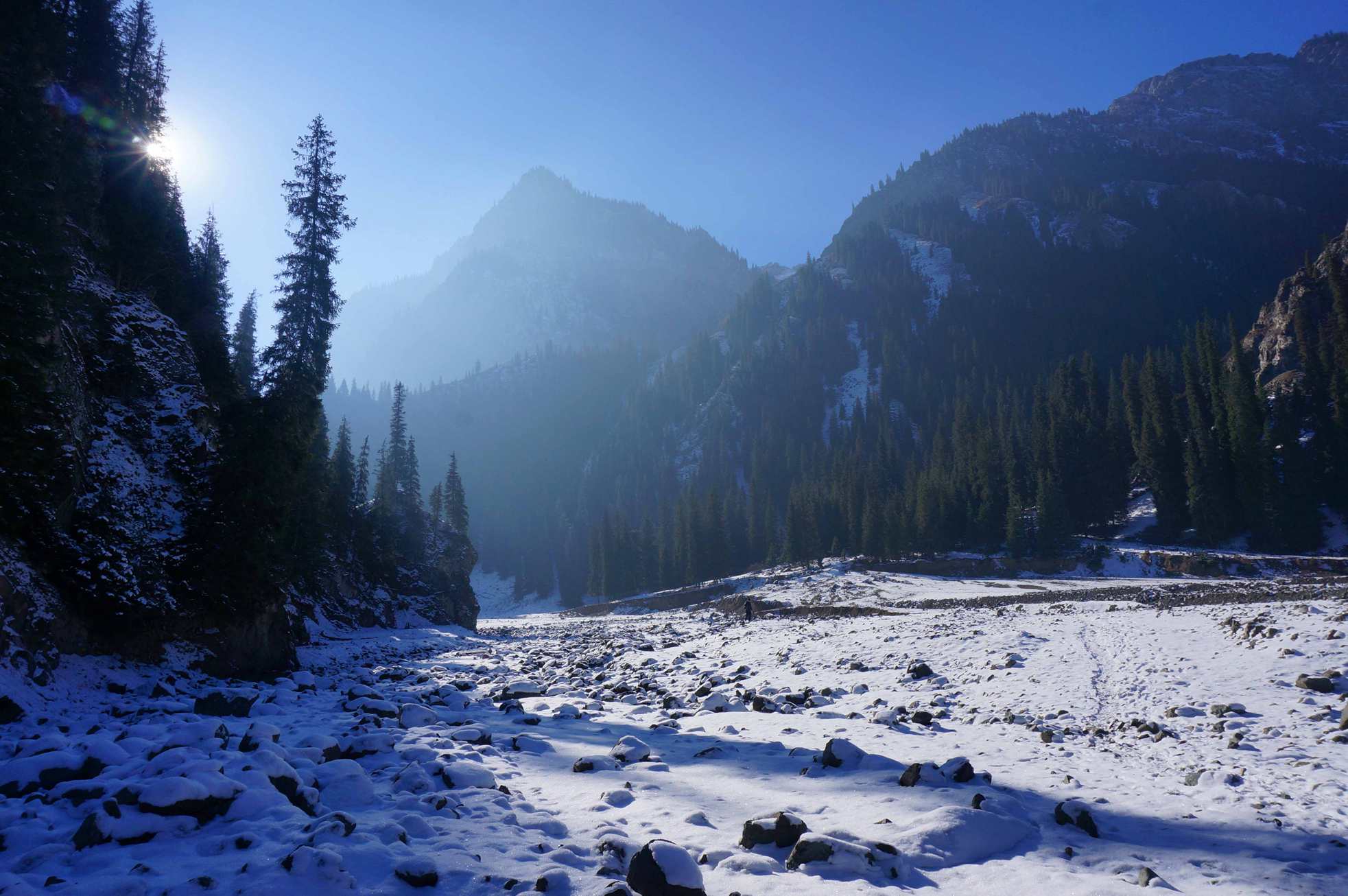 DSC01324 ����_����.jpg