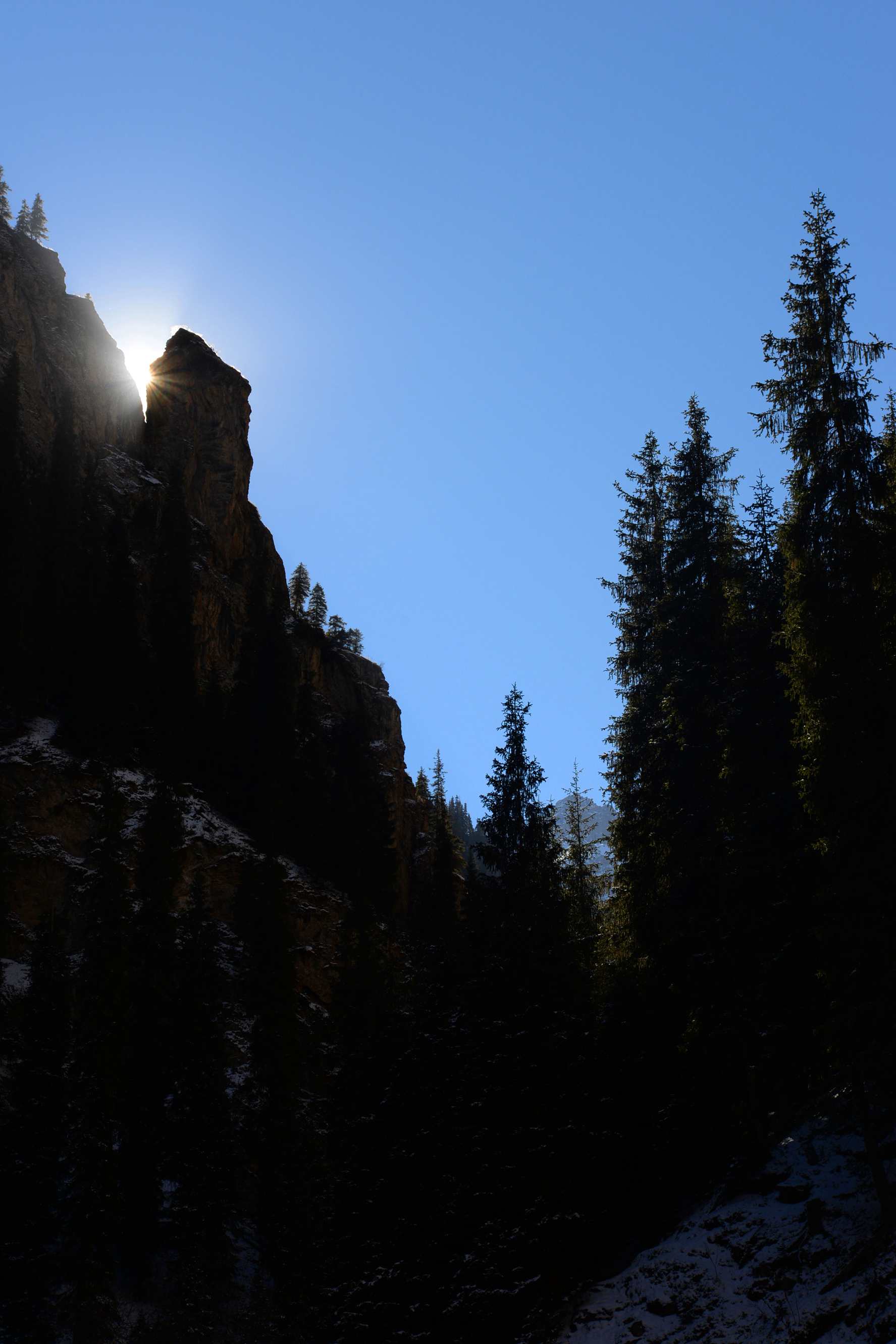 ��Ƭ 455 ����_����.jpg