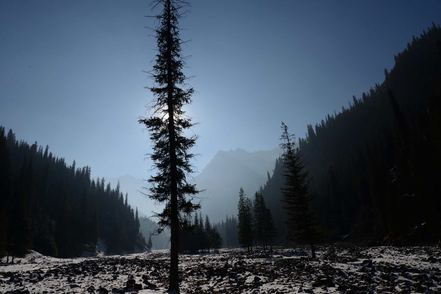 ��Ƭ 504 ����_����.jpg