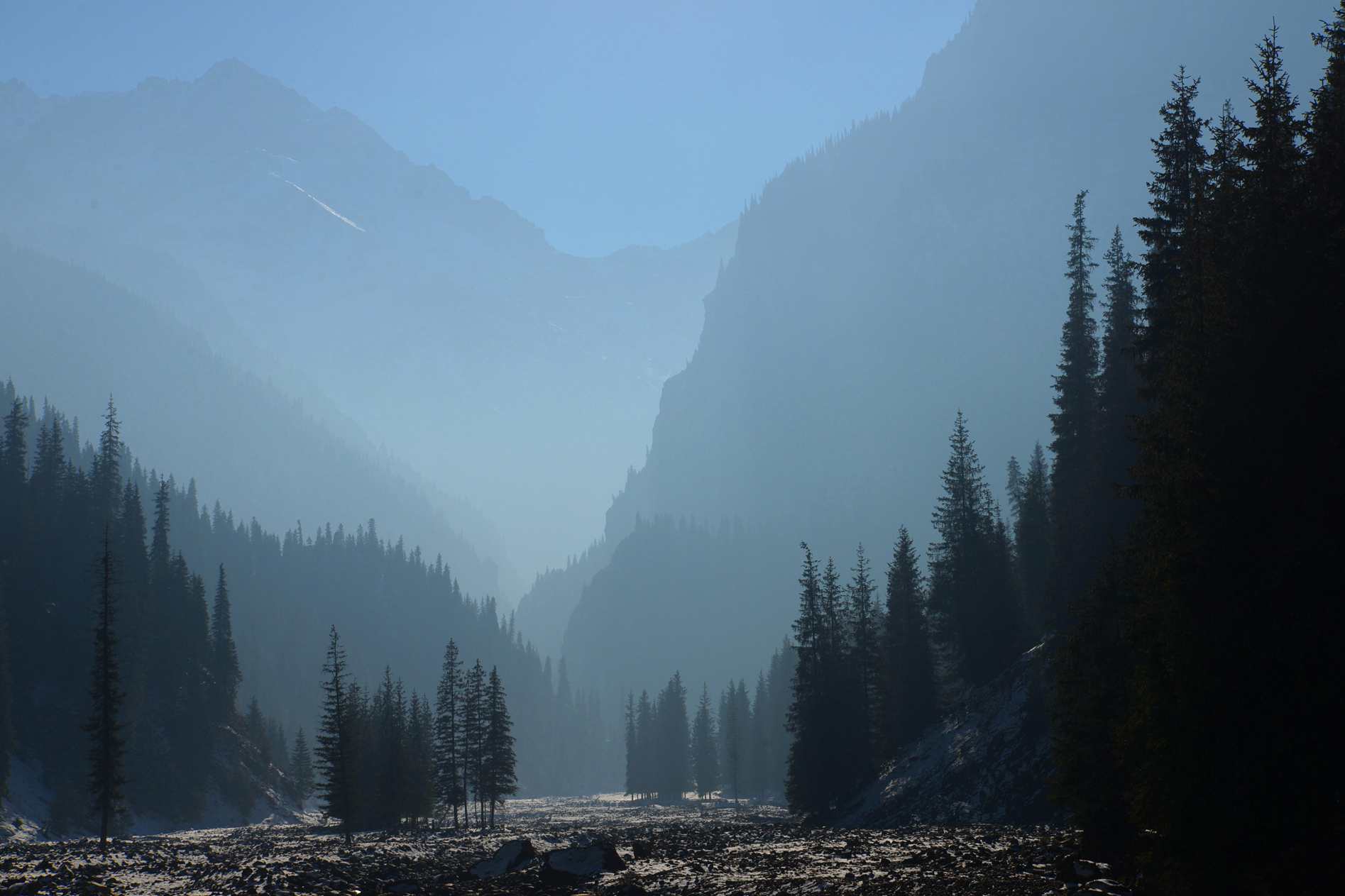 ��Ƭ 508 ����_����.jpg