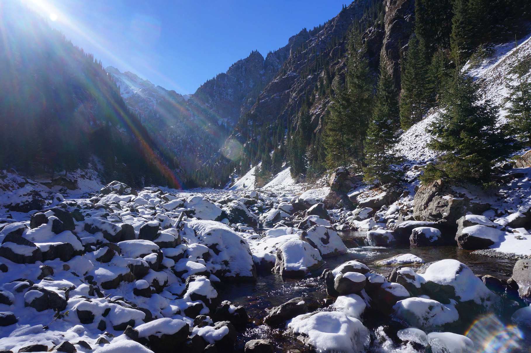 DSC01313 ����_����.jpg