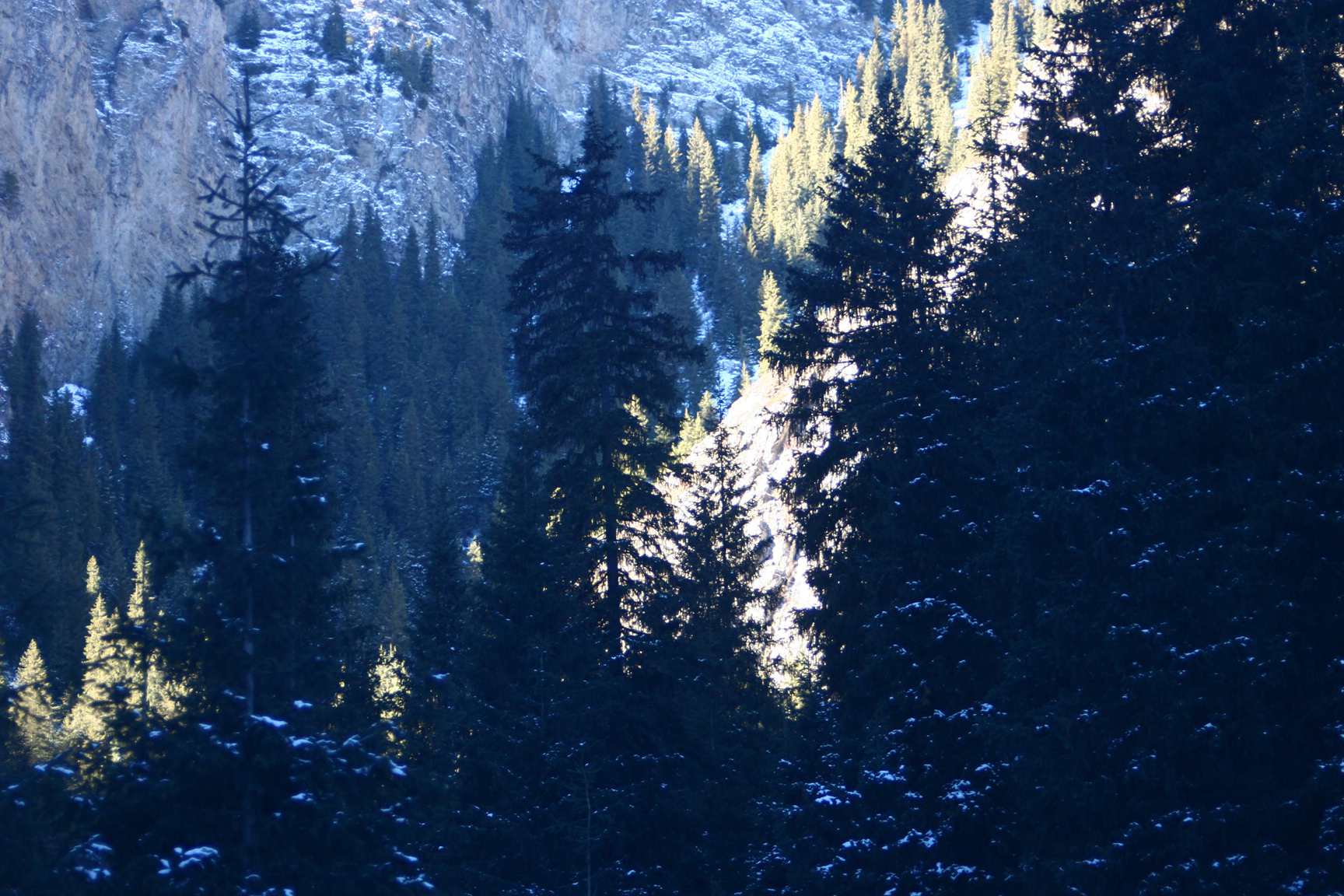 IMG_1516 ����_����.jpg