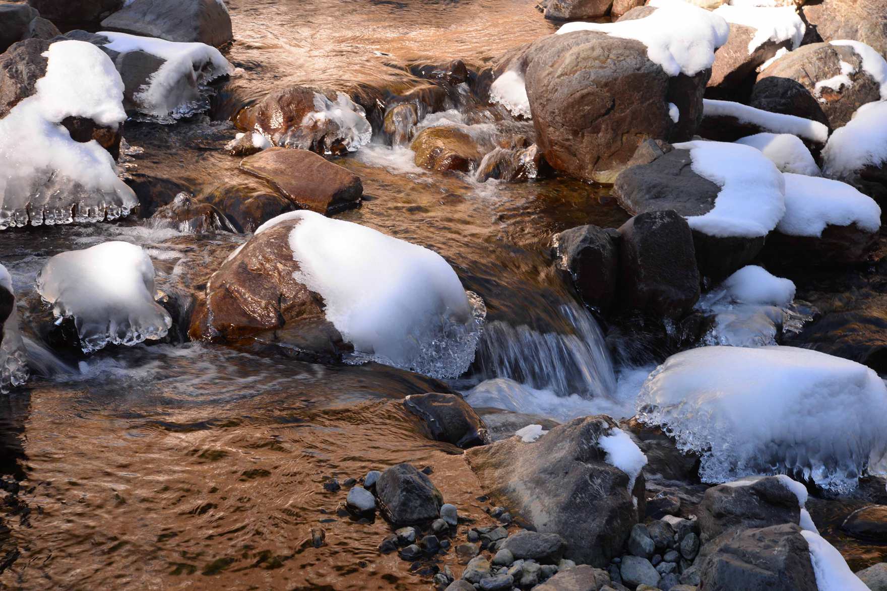 ��Ƭ 448 ����_����.jpg