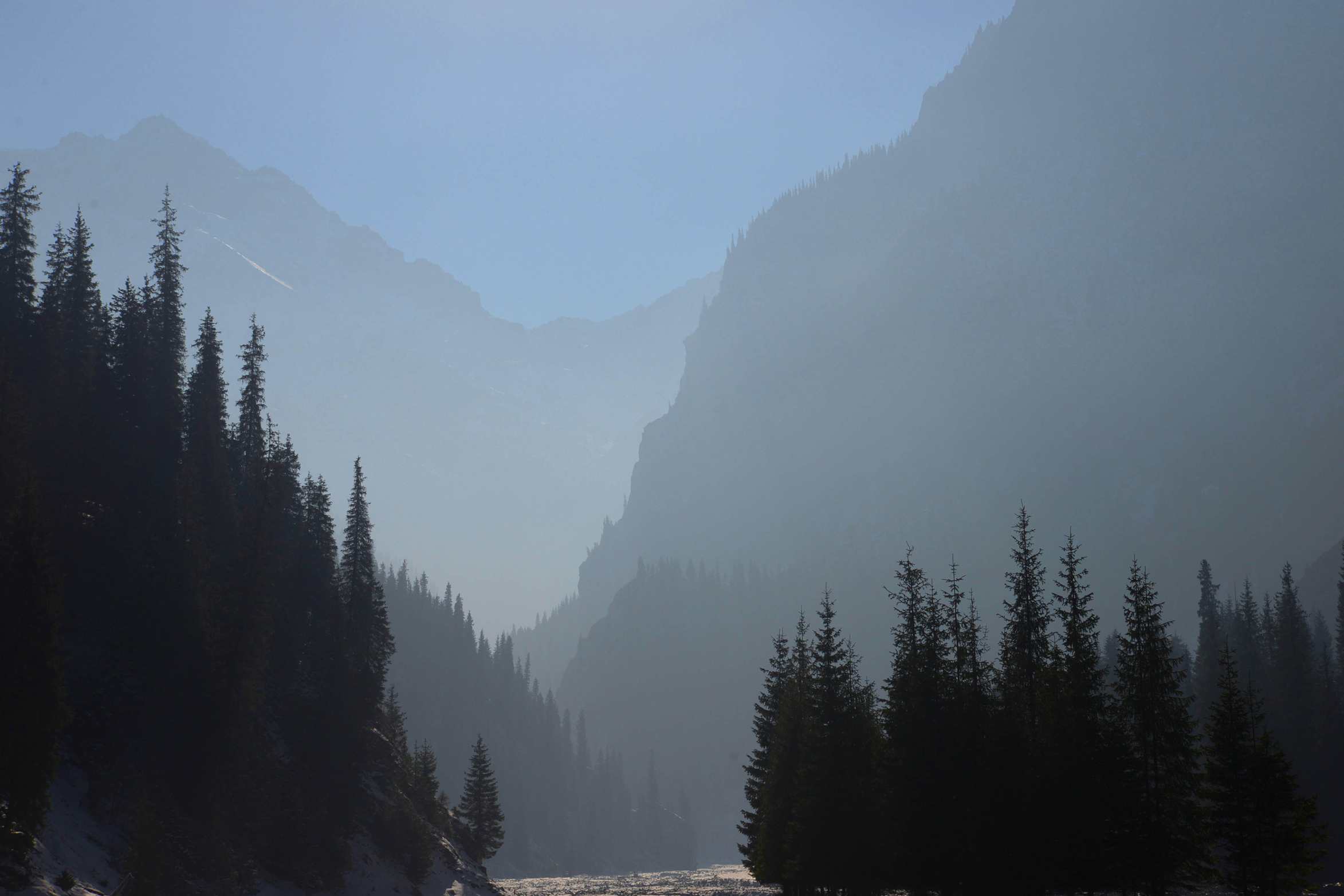 ��Ƭ 502 ����_����.jpg