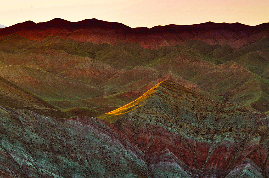 һ�ƹ�     ������