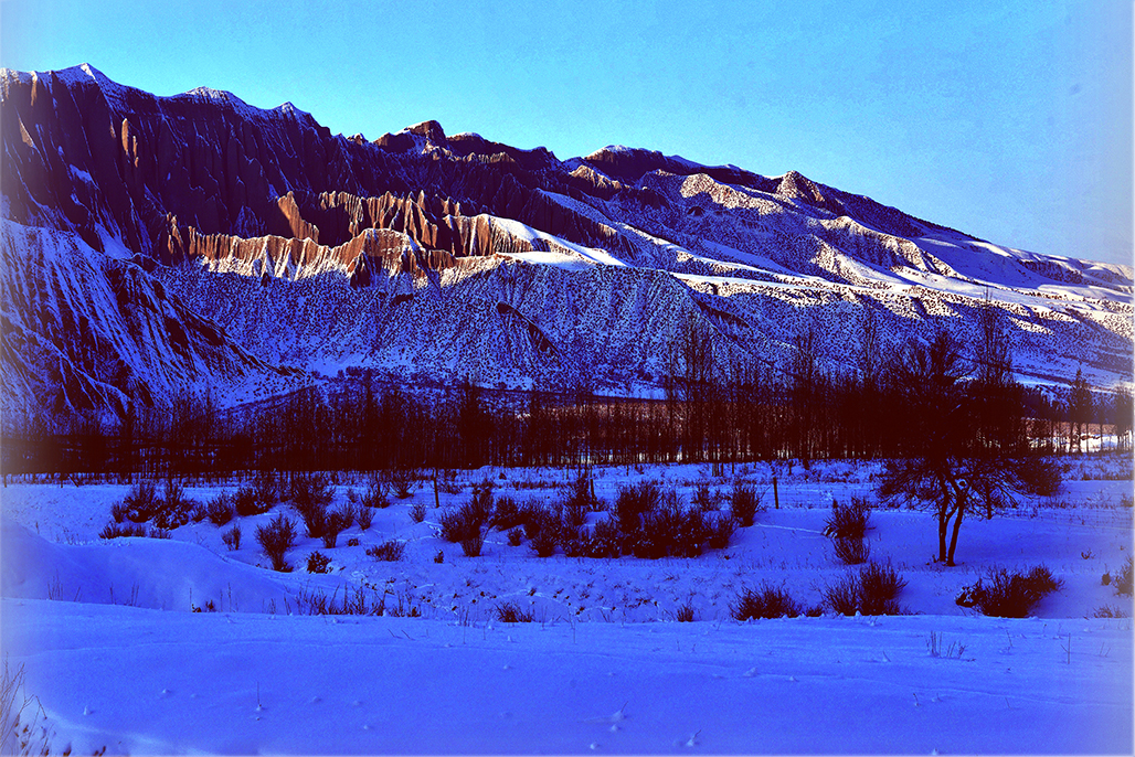 С��    ������