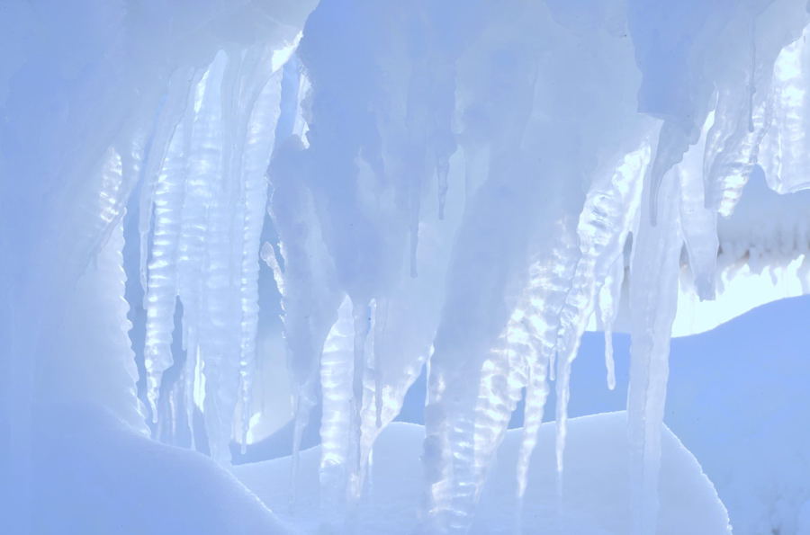 ���ɸ��Ƶı���