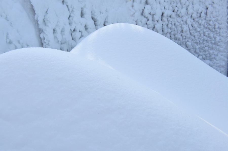 ͦ����ѩ��