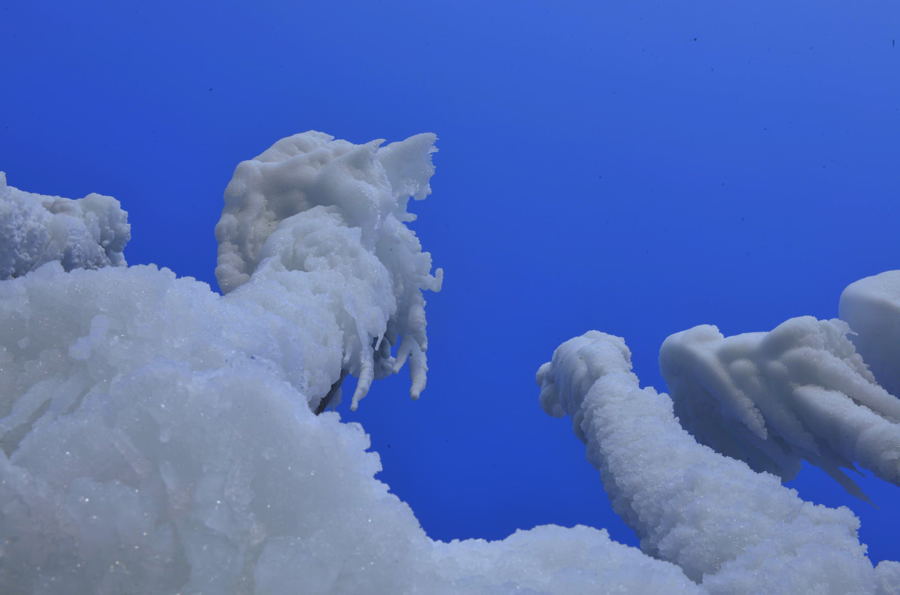 ��ѩ����