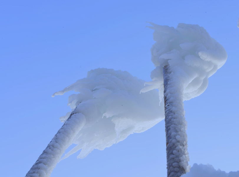 �����԰ܵ��ֵ�