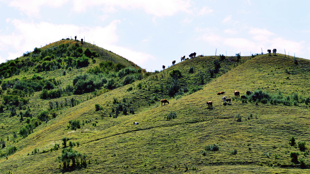 nEO_IMG__DSC0504 - ����.jpg